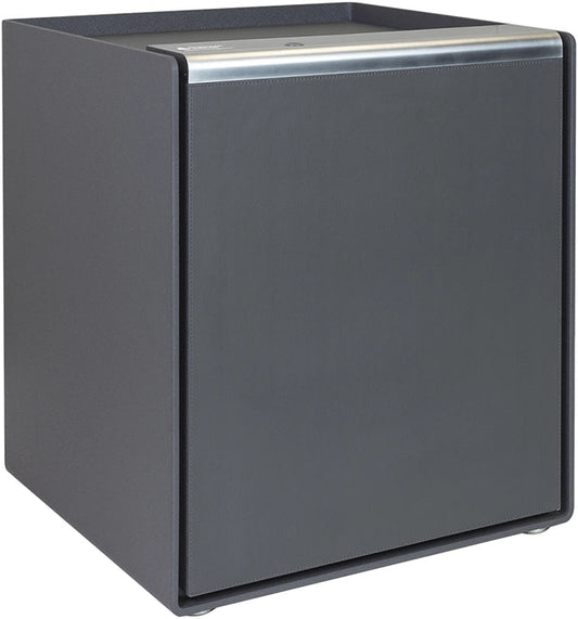 Burton Companion Fingerprint Safe